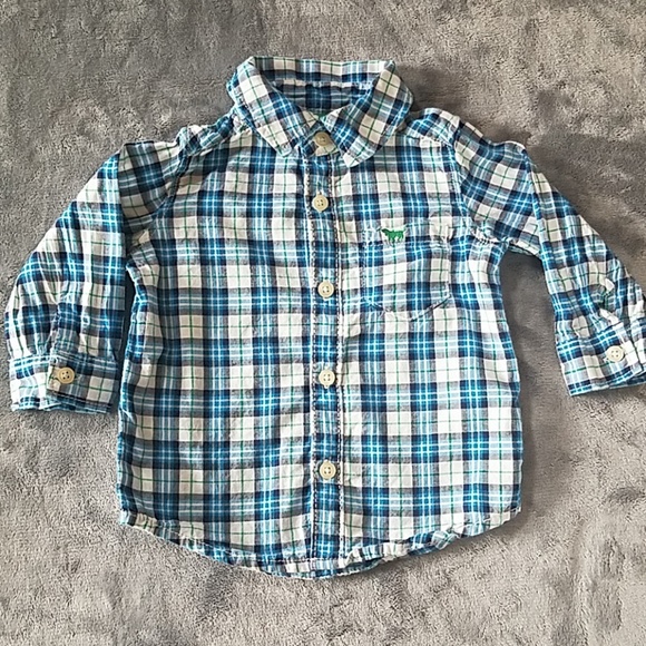 Shirts - Picture 2 of 5